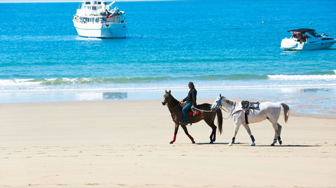 Mackay Harbour Beach - Accommodation NT 0