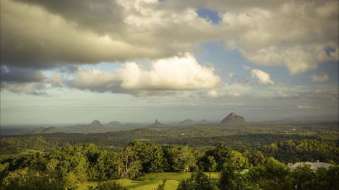 Mary Cairncross Scenic Reserve Rainforest Walk - Accommodation NT 0