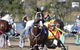 Marburg Pacing Association - thumb 1