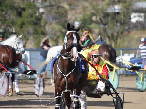 Marburg Pacing Association - NT Tourism 1