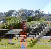 Maryboroughs Bollards - Accommodation NT