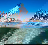 Monkey Mia - Accommodation NT