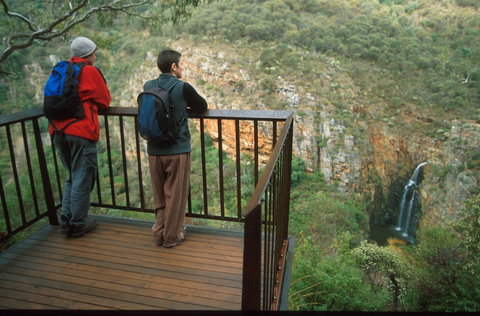Morialta Conservation Park - Accommodation NT 2