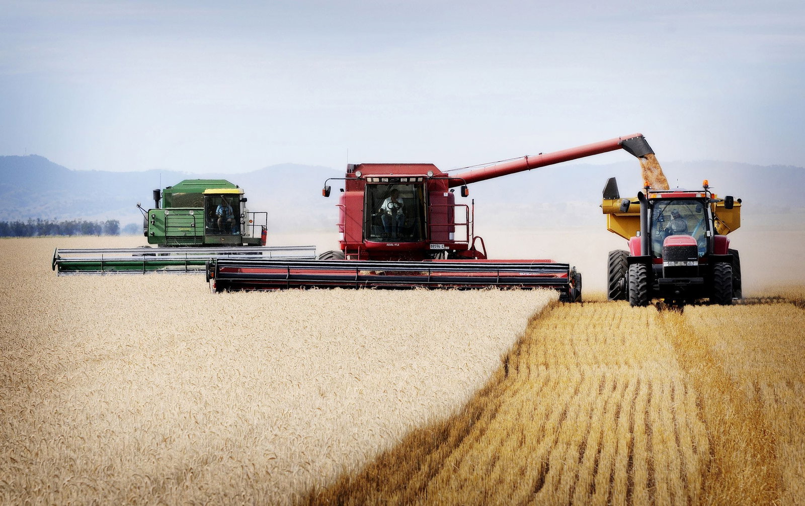 Napier Lane ACT Accommodation NT