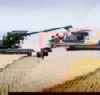 Mullaley - Accommodation NT