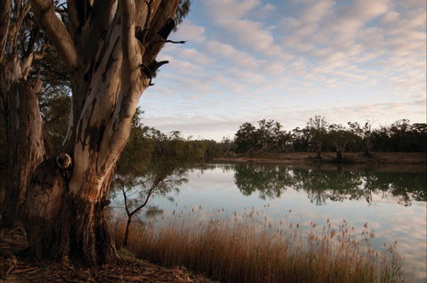 Murray-Kulkyne Regional Park - Accommodation NT 0