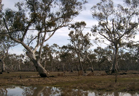 Murchison Rail Trail - Accommodation NT 1