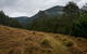 Nowendoc National Park - thumb 0
