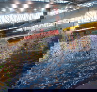 Oasis Regional Aquatic Centre - NT Tourism