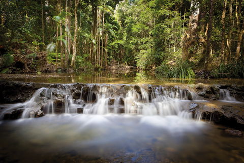 Orara East State Forest - Accommodation NT 2