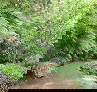 Pirianda Gardens - Accommodation NT