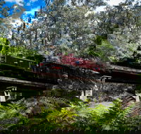 Puffing Billy Railway - Accommodation NT