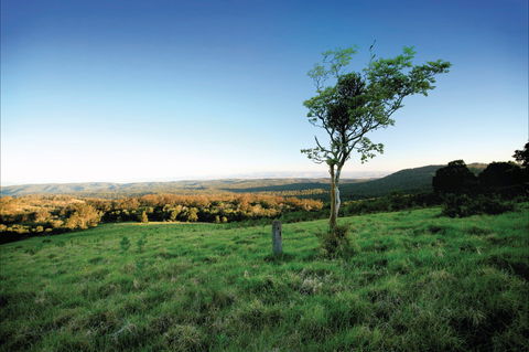 Ravensbourne National Park - Accommodation NT 0