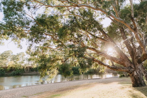 Riverside:  Wagga Beach - Accommodation NT 1