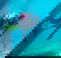 Shellharbour Scuba  and Photography Centre - Accommodation NT