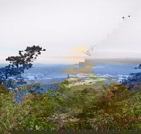 Slingsbys Trail and Syndicate Ridge Track - NT Tourism