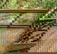 Somersby Falls walking track - Accommodation NT