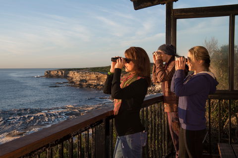 Sutherland Shire - Accommodation NT 0