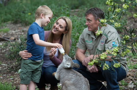 Tamworth Marsupial Park And Adventure Playground - Accommodation NT 0