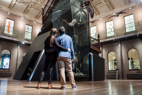Tasmanian Museum And Art Gallery - Accommodation NT 1