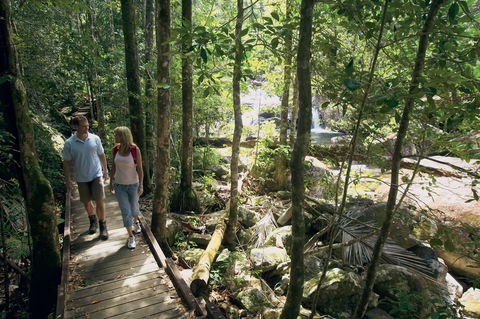 The Pioneer Valley And Eungella National Park - Accommodation NT 1