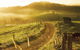 The Pioneer Valley And Eungella National Park - thumb 2
