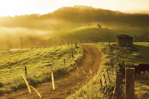 The Pioneer Valley And Eungella National Park - Accommodation NT 2