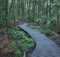 The Channon Protesters Falls Nimbin and Mount Nardi - Accommodation NT