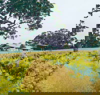The Great Southern Drive - Accommodation NT