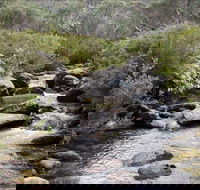Thredbo River Track - Accommodation NT