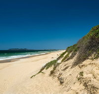 Tyagarah Nature Reserve Picnic Area - Accommodation NT