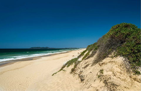 Tyagarah Nature Reserve Picnic Area - Accommodation NT 0
