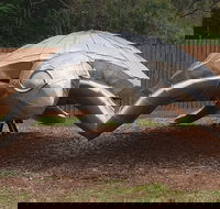 Underwater Marine Sculptures - Accommodation NT