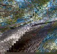 Wallumatta Nature Reserve - Accommodation NT