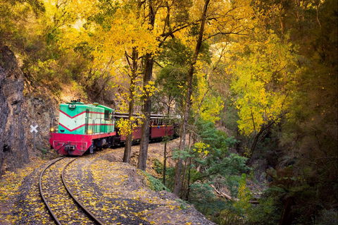 Walhalla Goldfields Railway - Accommodation NT 2
