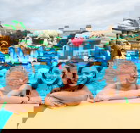 Waterworld Central - Mobile Inflatable Waterpark - Accommodation NT