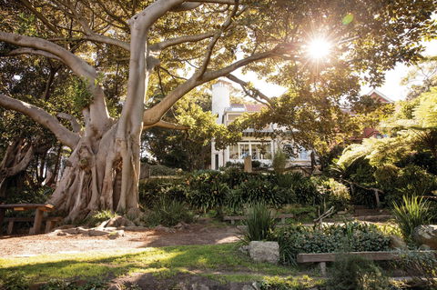 Wendy Whiteley's Secret Garden - Accommodation NT 0