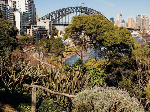 Wendy Whiteley's Secret Garden - Accommodation NT 2