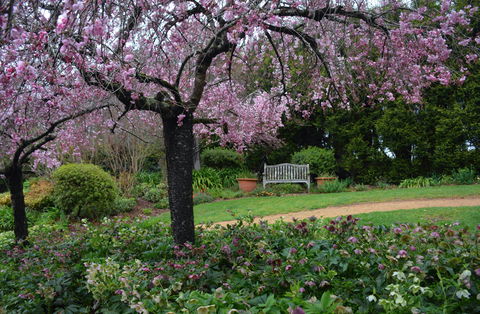 Wildwood Garden - Accommodation NT 2