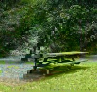 Williams River picnic area - NT Tourism