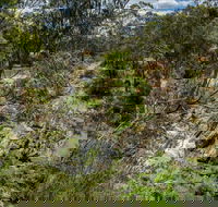 Yarrambat Park - Accommodation NT