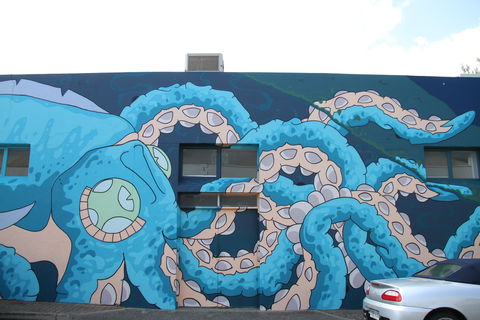 Adelaide Fringe Street Art Explosion - Accommodation NT 2