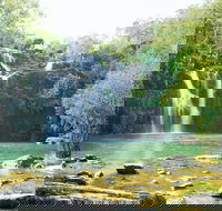 Airlie Beach to Cedar Creek Falls - Accommodation NT
