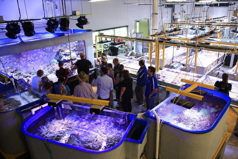 Australian Institute Of Marine Science - Accommodation NT 0