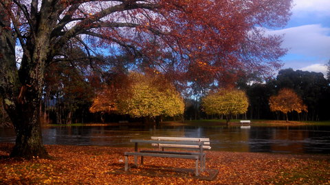 Bells Parade Reserve - Accommodation NT 0