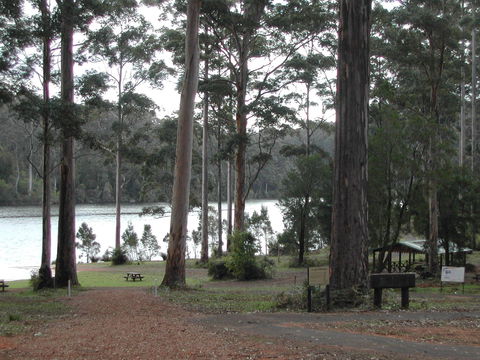 Big Brook Arboretum - Accommodation NT 0