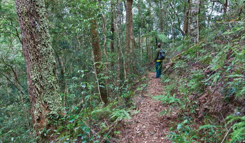 Blackbutt Walking Track - NT Tourism 0