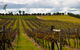 Blackbutt To Bunyas - thumb 1