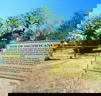 Boab Prison Tree - Accommodation NT