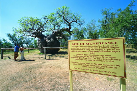 Boab Prison Tree - Accommodation NT 0
